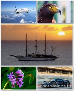  Best HD Wallpapers Pack 1303 