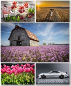  Best HD Wallpapers Pack 1304 