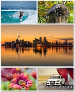  Best HD Wallpapers Pack 1305 