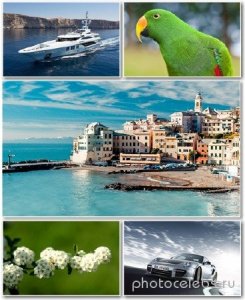  Best HD Wallpapers Pack 1306 