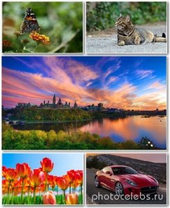  Best HD Wallpapers Pack 1309 