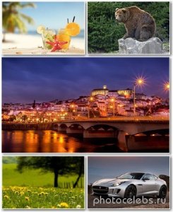  Best HD Wallpapers Pack 1310 