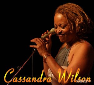  Cassandra Wilson - Discography (1985-2012) 