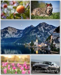 Best HD Wallpapers Pack 1313 