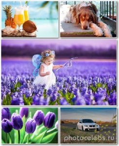  Best HD Wallpapers Pack 1319 