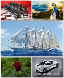  Best HD Wallpapers Pack 1337 