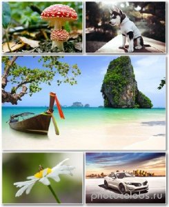  Best HD Wallpapers Pack 1342 