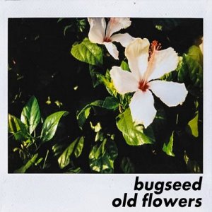  Bugseed - Old Flowers (2014) 
