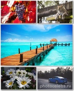  Best HD Wallpapers Pack 1362 