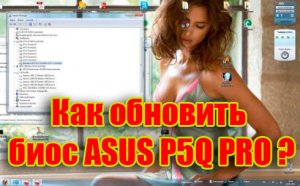     ASUS P5Q PRO (2015) WebRip 