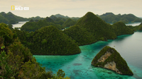  Дикая природа Индонезии / National Geographic: Wild Indonesia [1-3 серии из 3] (2014) HDTVRip 720p 