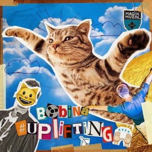  Bobina - #Uplifting (2015) 320 kbps 