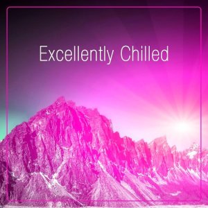  Excellently Chilled (2015) 