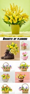  Baskets of flowers, tulips, mimosa 