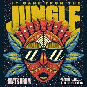 Beats Drum Jungle (2018)