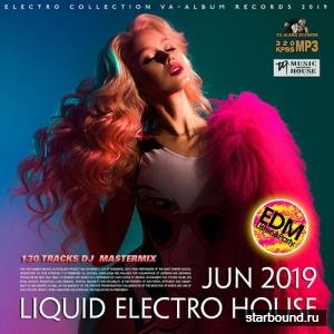 Liquid Electro Holuse (2019)